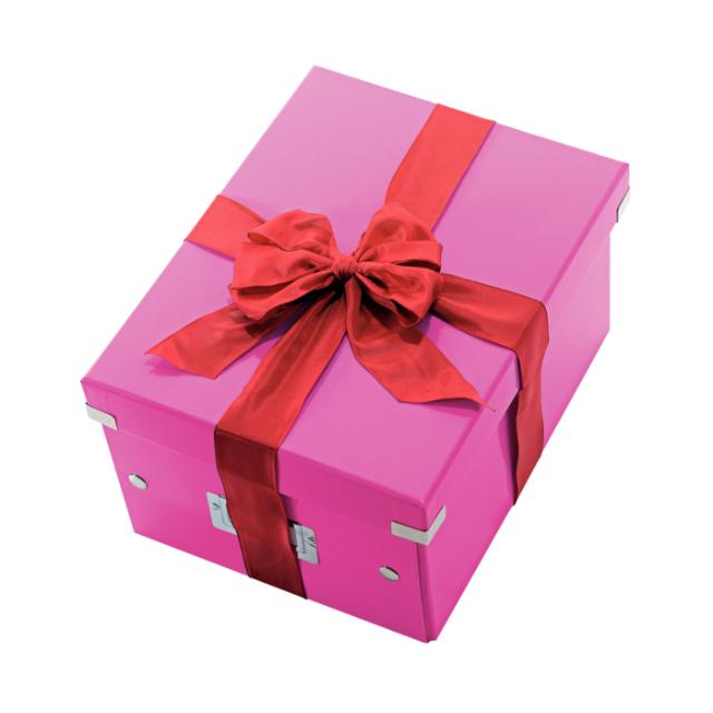 Cutie depozitare Leitz WOW Click & Store, carton laminat, medie, roz