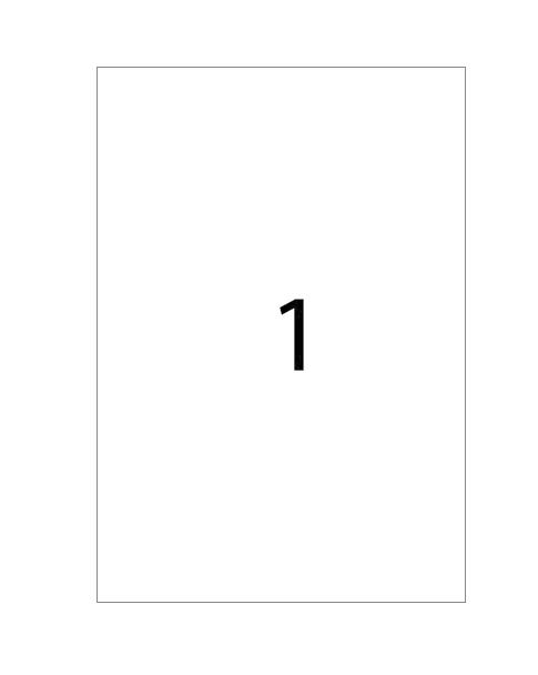 Etichete autoadezive Apli poliester, A4, 210 x 297 mm, 20 bucati, 20 coli/set