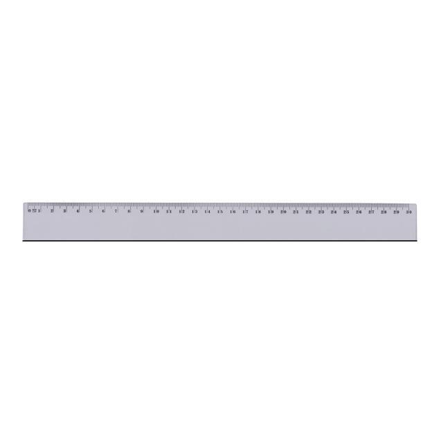 Rigla Memoris-Precious, plastic 30 cm
