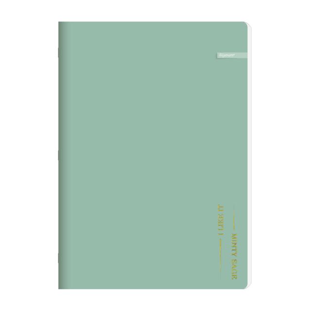 Caiet Ilijanum, I like it, A4, capsat, 50 file, 80 g/mp, dictando, folio