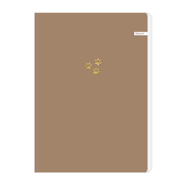 Caiet Ilijanum, A5, 96 file, 70 g/mp, dictando, soft touch