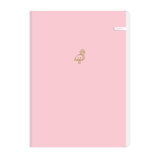 Caiet Ilijanum, A5, 96 file, 70 g/mp, dictando, soft touch