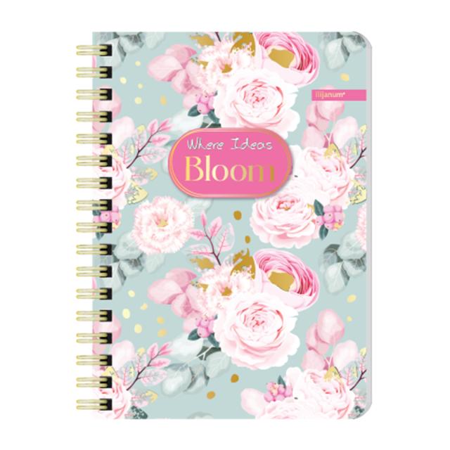 Notes Ilijanum, A6, 60 file, dictando, bloom