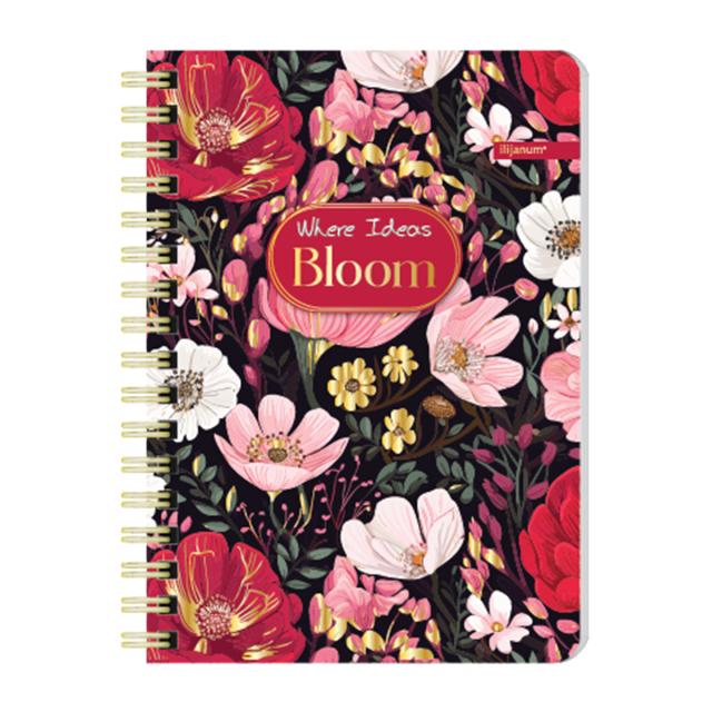Notes Ilijanum, A6, 60 file, dictando, bloom