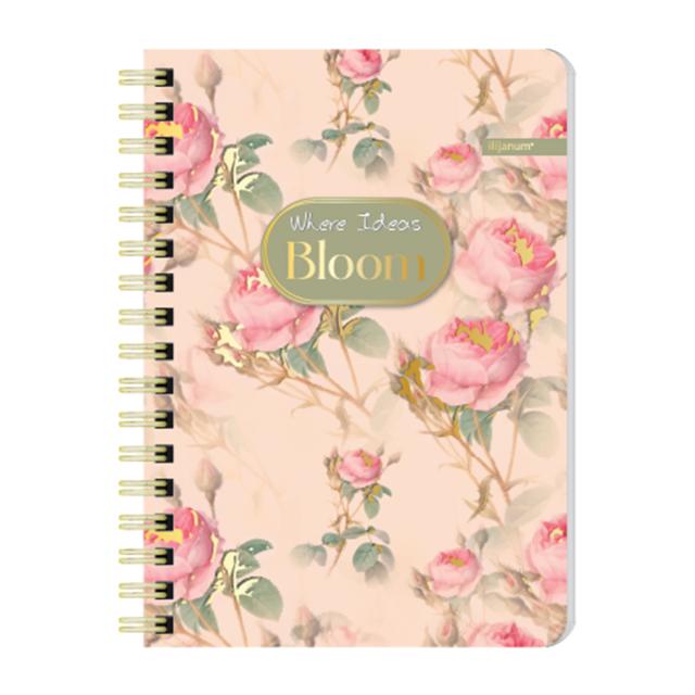 Notes Ilijanum, A6, 60 file, dictando, bloom