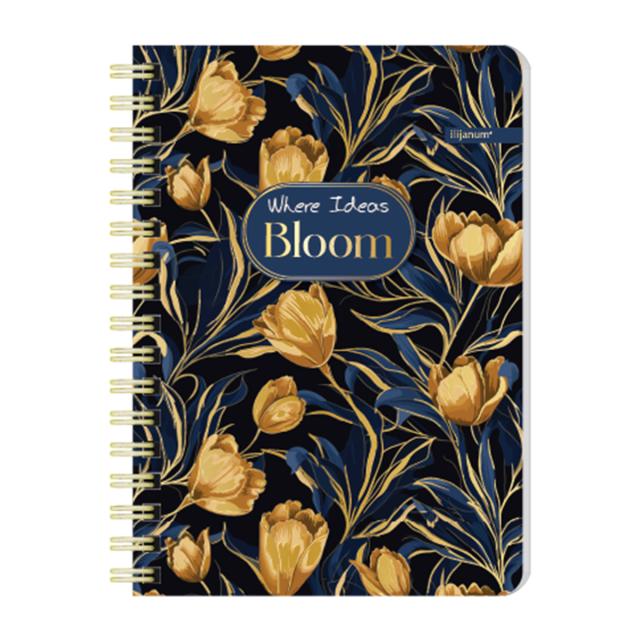 Notes Ilijanum, A6, 60 file, dictando, bloom