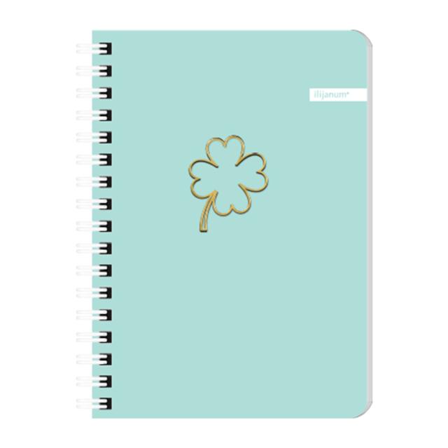 Notes Ilijanum, A6, cu spira, 60 file, dictando, soft touch