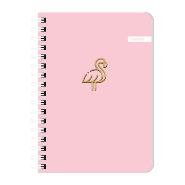 Notes Ilijanum, A6, cu spira, 60 file, dictando, soft touch