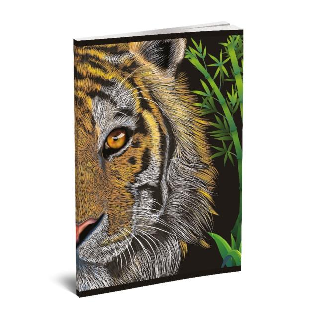 Caiet Lux, A5, 52 de file, matematica, diverse modele