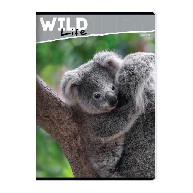 Caiet A4 capsat, 52 file matematica, 70g/mp, design animale