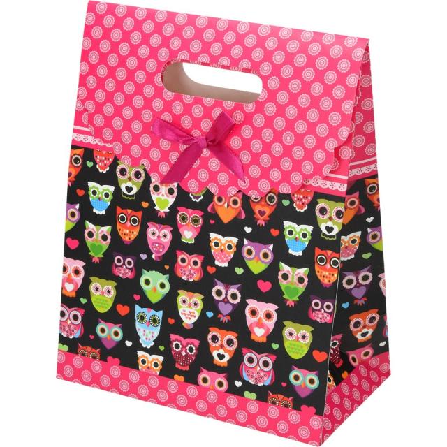 Punga cadou, dimensiune 17.8x22.9x9.8cm, diverse modele