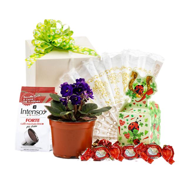 Pachet cadou Cleopatra