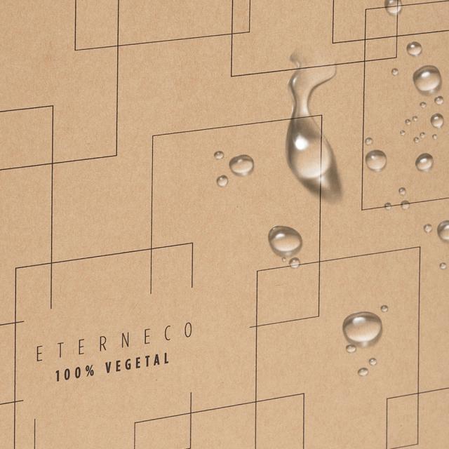 Mapa carton Exacompta Eterneco, 9 separatoare, A4