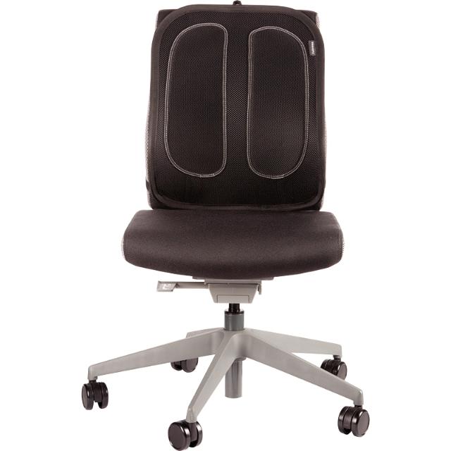 Suport Fellowes pentru spate, cu plasa