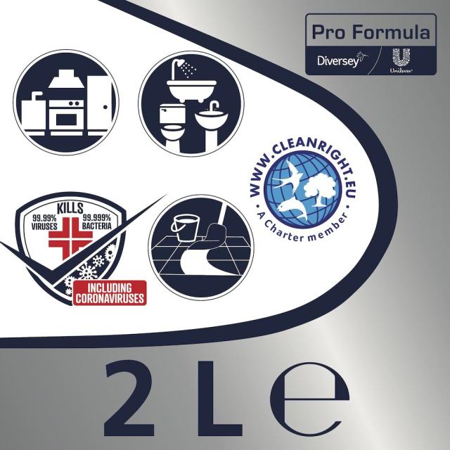 Detergent dezinfectant Domestos Pro Formula Pine Fresh, 2L