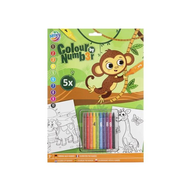 Fise de colorat pe numere, Creative Craft, A4, creioane colorate, diverse mod