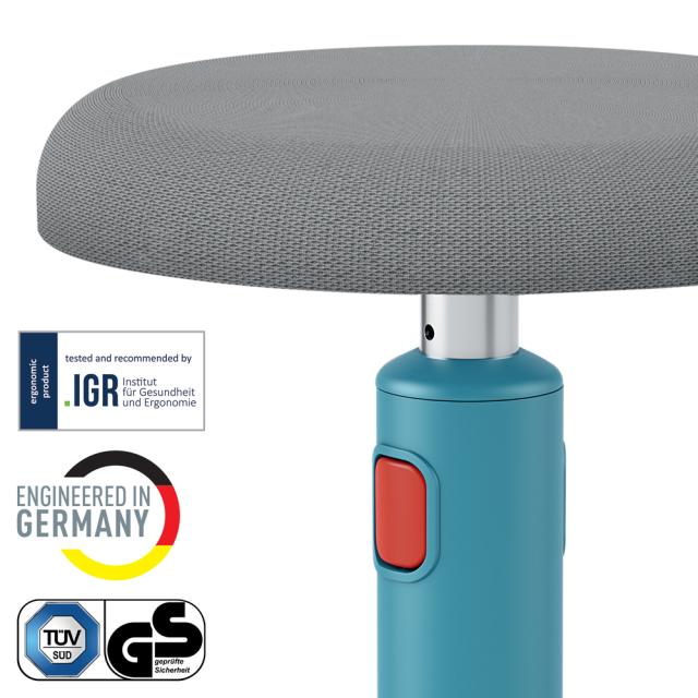 Scaun ergonomic Leitz Ergo Cosy, albastru celest