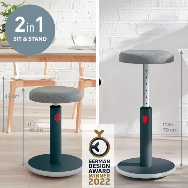 Scaun ergonomic Leitz Ergo Cosy, gri antracit