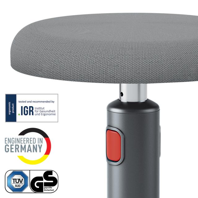 Scaun ergonomic Leitz Ergo Cosy, gri antracit