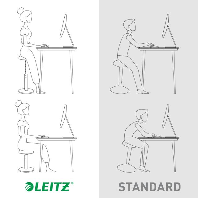 Scaun ergonomic Leitz Ergo Cosy, gri antracit