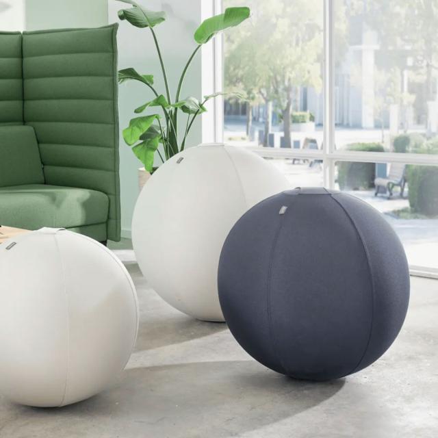 Minge ergonomica Leitz Ergo, pentru sezut sau fitness, cu functie de oprire, 65 cm, gri-carbune