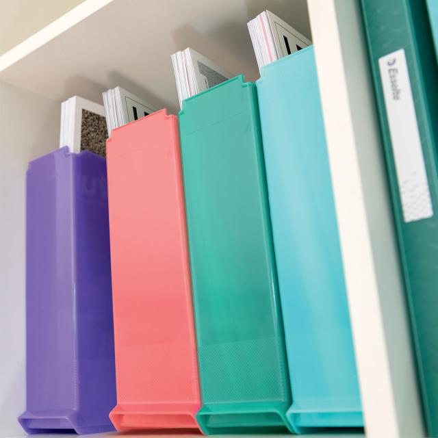Suport vertical Esselte Colour'Breeze, pentru documente, PS, reciclabil, A4, albastru