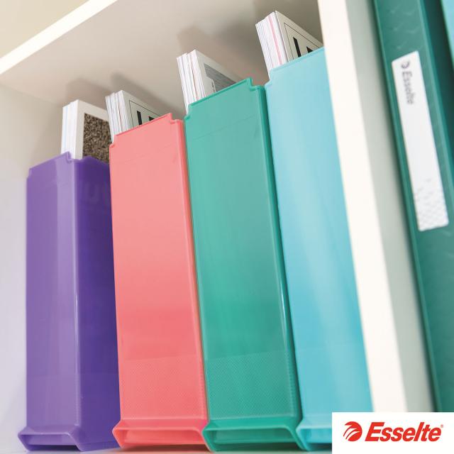 Suport vertical Esselte Colour'Breeze, pentru documente, PS, reciclabil, A4, corai