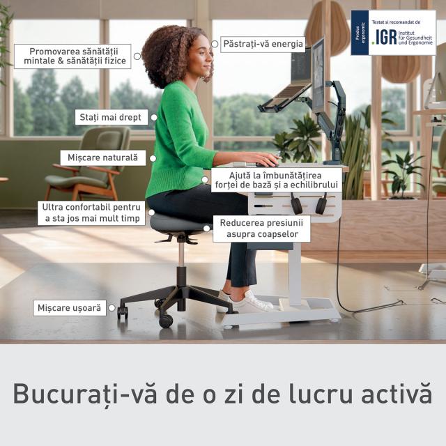 Scaun ergonomic Leitz Ergo, pozitie sezut/ in picioare, inaltime reglabila (47-60 cm), cu roti, sezut mobil, gri