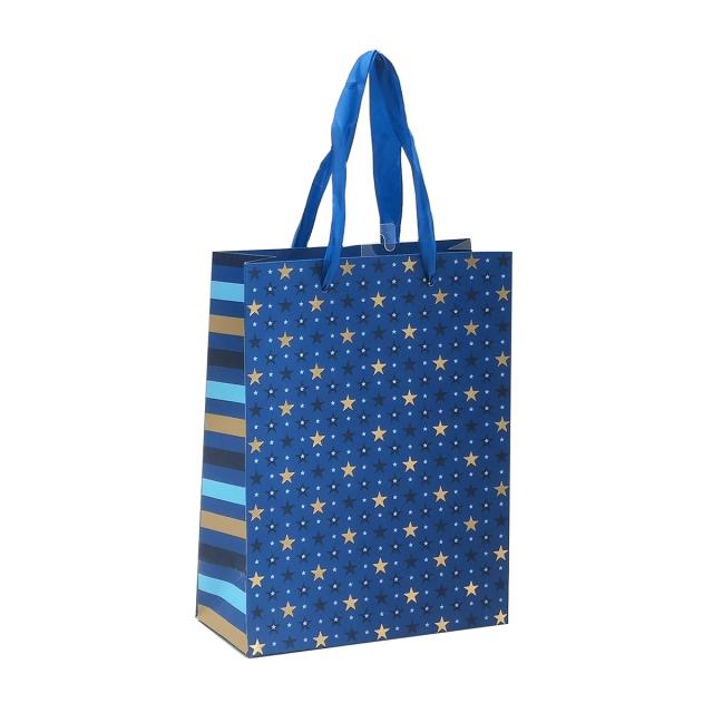 Punga cadou 17x23x8 cm, design stelute