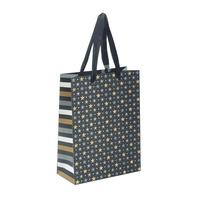 Punga cadou 17x23x8 cm, design stelute
