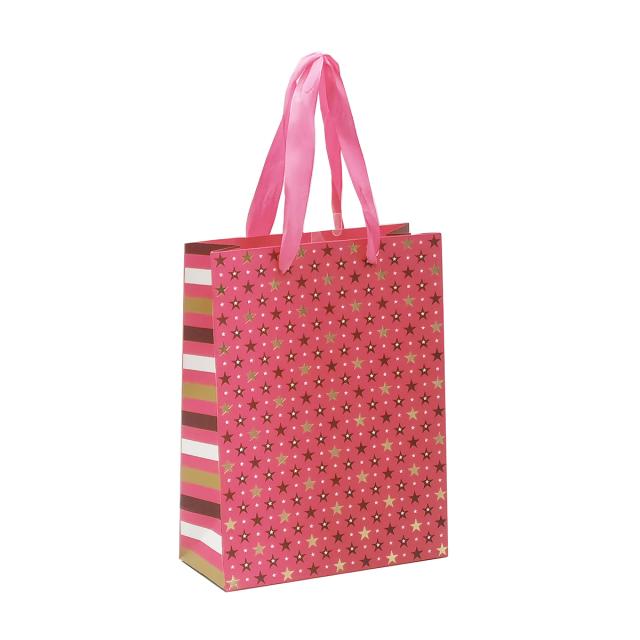 Punga cadou 17x23x8 cm, design stelute