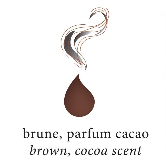 Calimara cerneala, Herbin, Jacques Herbin Writing Scented Brown, parfum cacao, 30 ml, sepia-brun