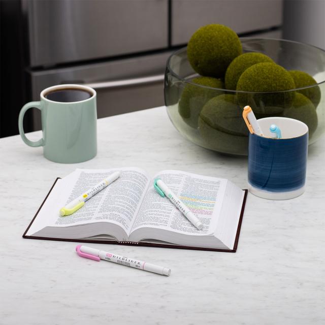 Textmarker cu doua capete Zebra, Mildliner, roz