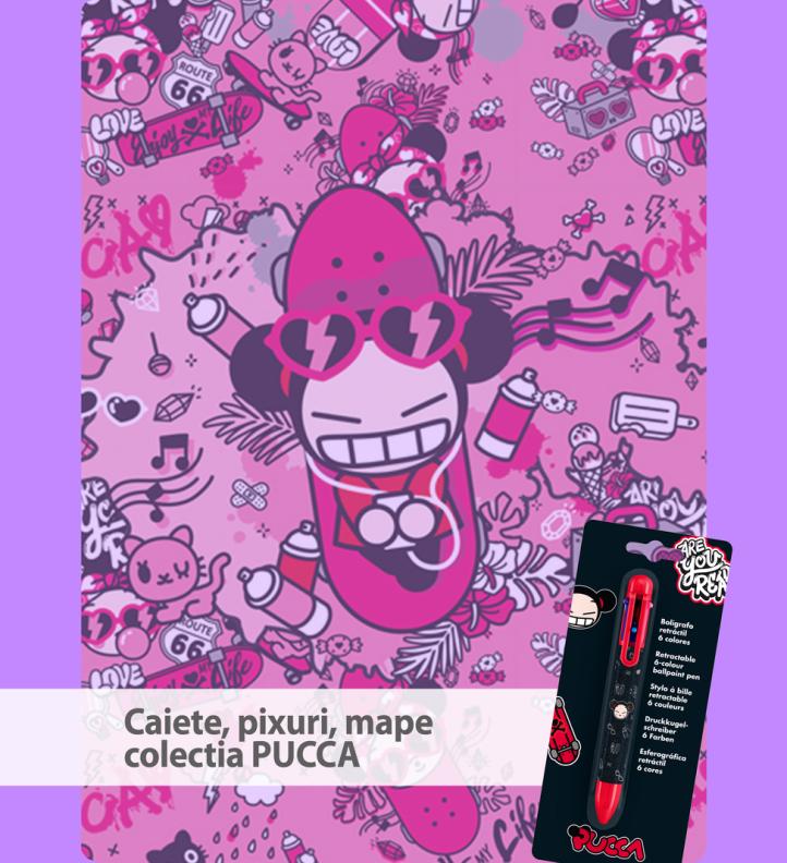 COLECTIA PUCCA