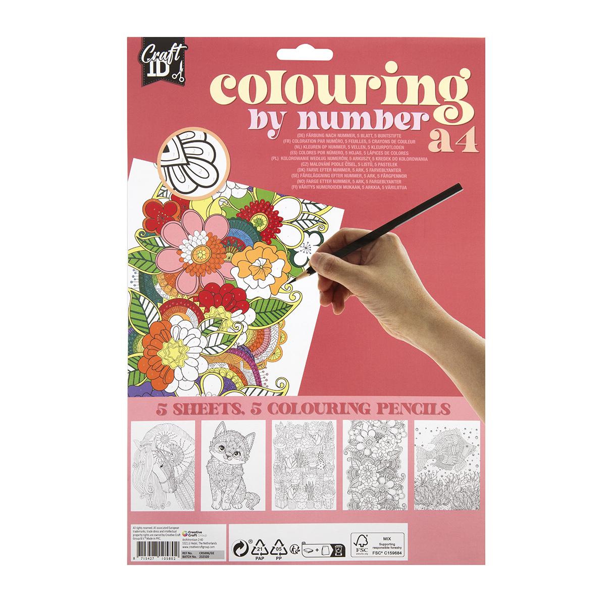 Set 5 planse A4 desen pe numere Creative Craft, cu 5 creioane colorate duble